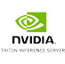 Nvidia TI Server